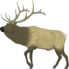 Large Moose Clip Art